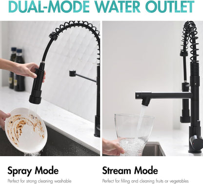 Matte Black Pull-Down Kitchen Faucet